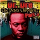 Dr. Dre - The Detox Chroniclez Part 3