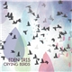 Eden Iris - Crying Birds