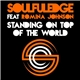 Soulfuledge Feat. Romina Johnson - Standing On Top Of The World
