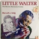 Little Walter - The Electric Harmonica Genius