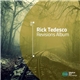 Rick Tedesco - Revisions Album