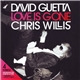 David Guetta & Chris Willis - Love Is Gone