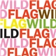 Wild Flag - Future Crimes