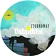 Stornoway - Unfaithful