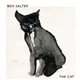 Ben Salter - The Cat