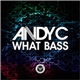 Andy C - What Bass