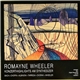 Romayne Wheeler - Konzerthighlights Am Synthesizer