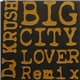 DJ Krush - Big City Lover Remix