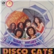 The Wild Cats - Disco Cats
