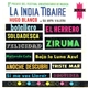 Hugo Blanco Y Su Arpa Viajera - La India Tibaire
