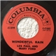 Les Paul & Mary Ford - Wonderful Rain / Take A Warning