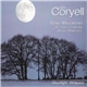 Larry Coryell - Moonlight Whispers