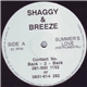 Shaggy & Breeze - Summer's Love / Exposure