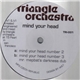 Triangle Orchestra - Mind Your Head