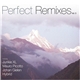 Various - Perfect Remixes Vol. 3