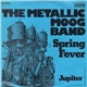 The Metallic Moog Band - Spring Fever