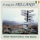 Sixteen Ninety One, Castle Ceili Band - A Way For Ireland - Irish Traditional Pub Music