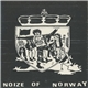 Various - Noize Of Norway