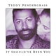 Teddy Pendergrass - It Should've Been You