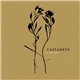 Castanets - In The Vines
