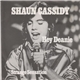 Shaun Cassidy - Hey Deanie