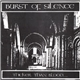 Burst Of Silence - Thicker Than Blood