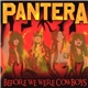 Pantera - Before We Were Cowboys