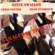Steve Swallow - Damaged In Transit