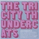 The Tri-City Thundercats - Linear Regressions EP