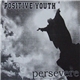 Positive Youth / Persevere - Split
