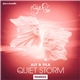 Aly & Fila - Quiet Storm (Remixes)