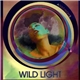 Wild Light - Adult Nights