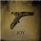 Joy - All The Battles