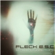 Fleck E.S.C. - A Little Something