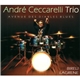 André Ceccarelli Trio - Avenue Des Diables Blues
