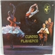 Cuadro Flamenco - Cuadro Flamenco